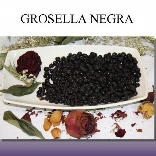 Grosella Negra Ultracongelada