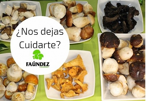 �Nos Dejas Cuidarte?