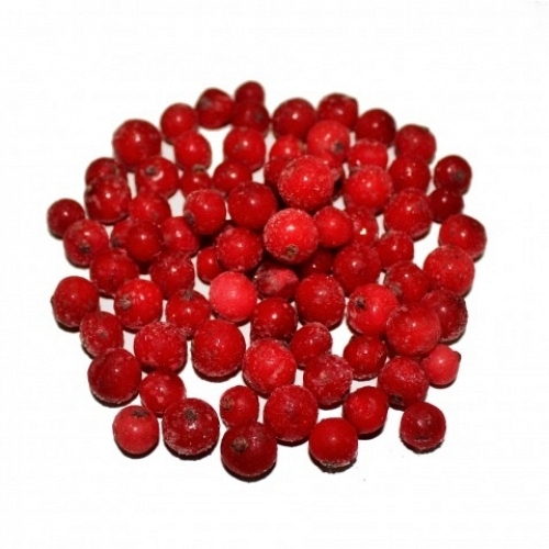 Quick-Frozen Red Currant 