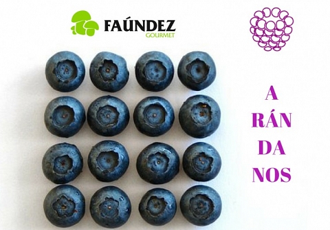 Ar�ndano Azul