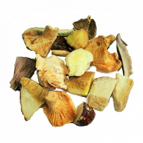 Forest Mix wild mushrooms