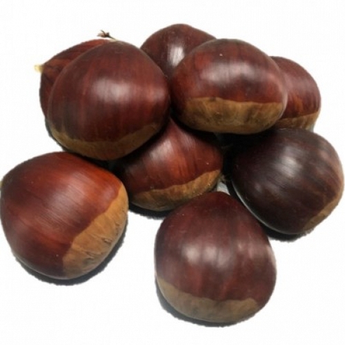 Fresh  Chestnut 