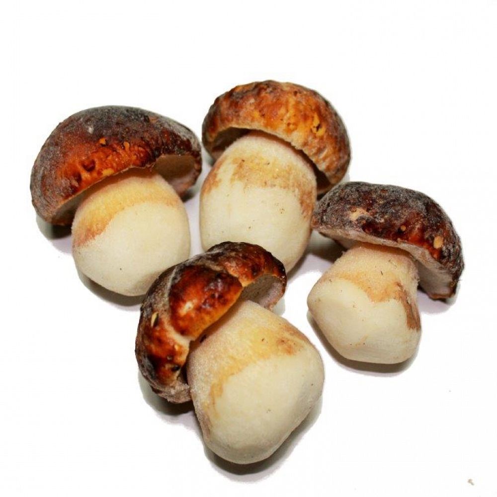 Boletus pincola Extra P Ultracongelado (Boletus Congelados)