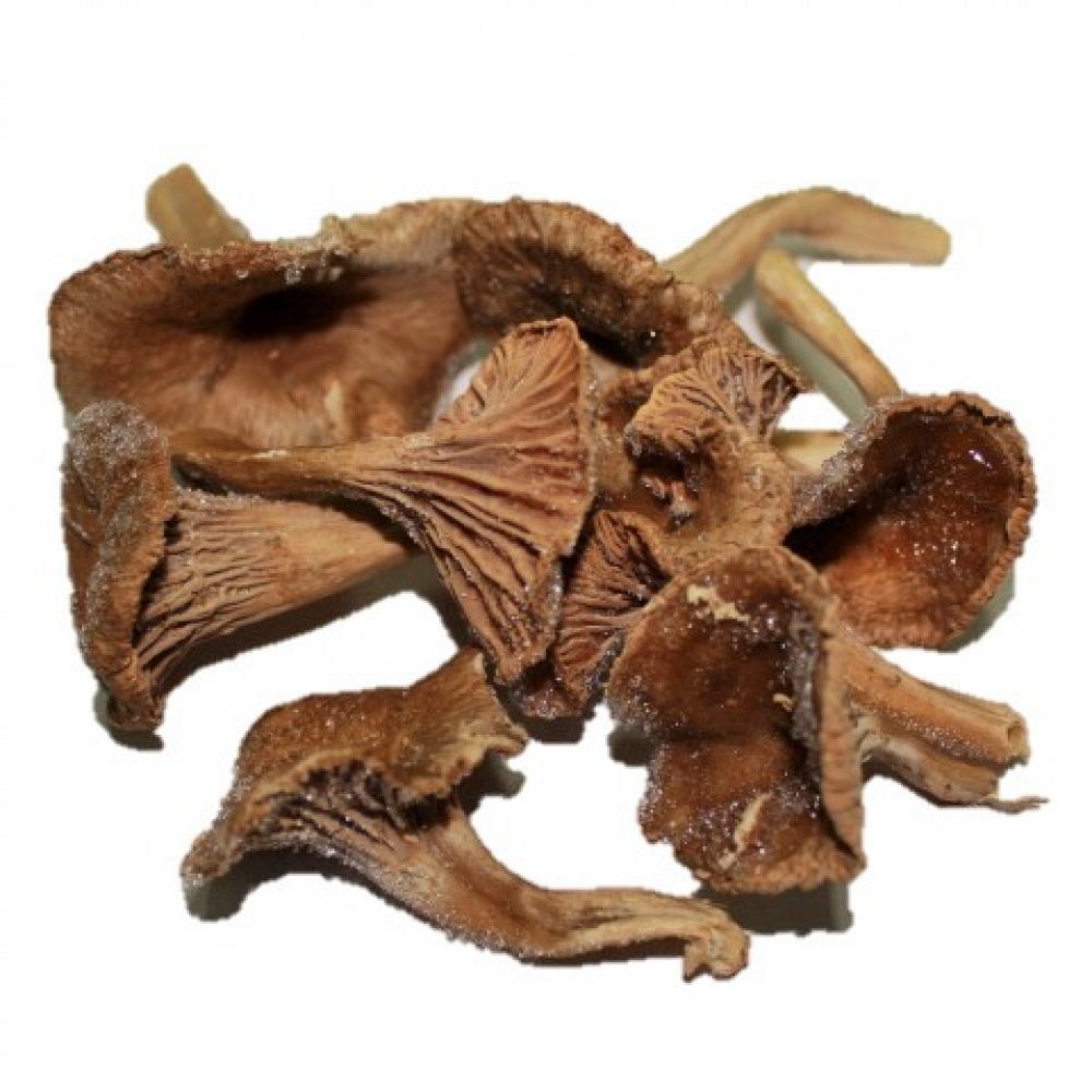 Quick-Frozen Funnel Chanterelle 