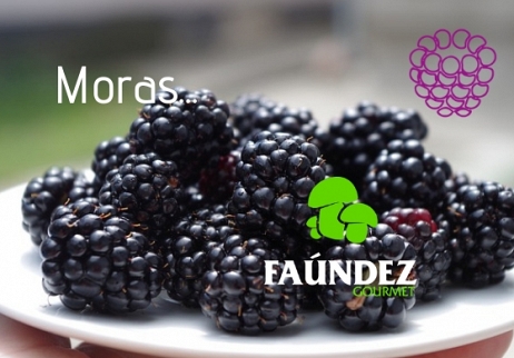 Helado de Moras