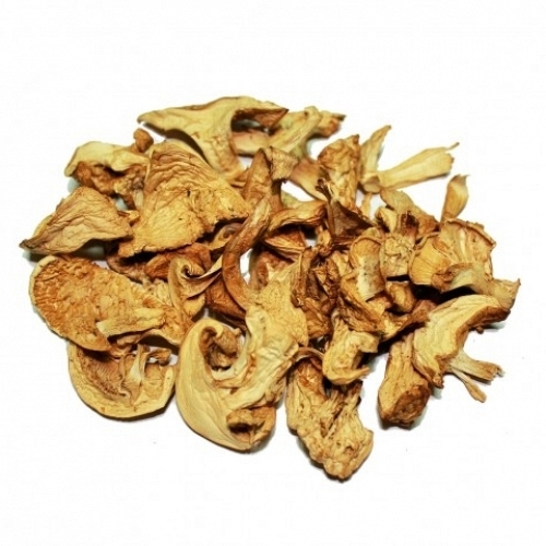 Dried St. George Mushroom