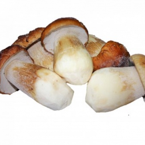 Boletus Edulis I�Extra M Ultracongelado (Boletus Congelados)