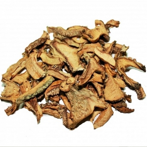 Dried Red Pine Mushroom