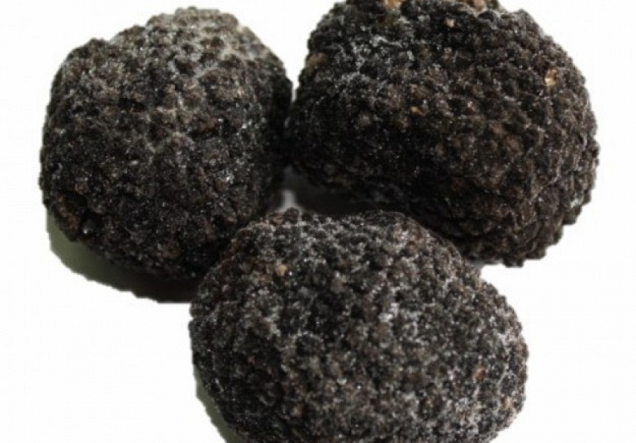 �Son todas las trufas comestibles?