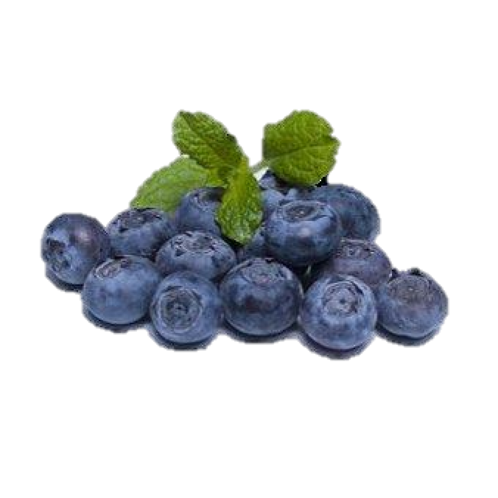 Ar�ndano  Azul Fresco