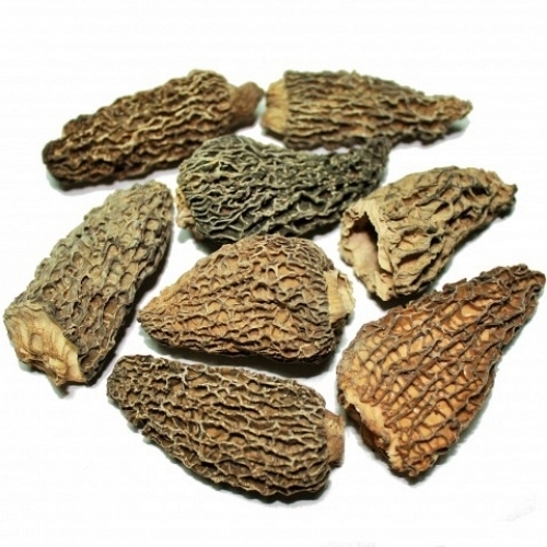 Dried Morel Mushroom