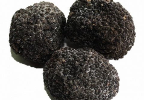 �Son todas las trufas comestibles?