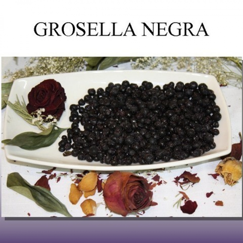 Grosella Negra Ultracongelada