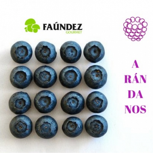 Ar�ndano  Azul Fresco