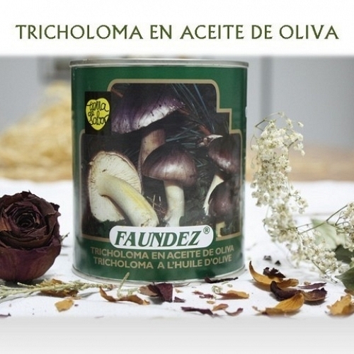 Carbonera en Aceite de Oliva 480g 