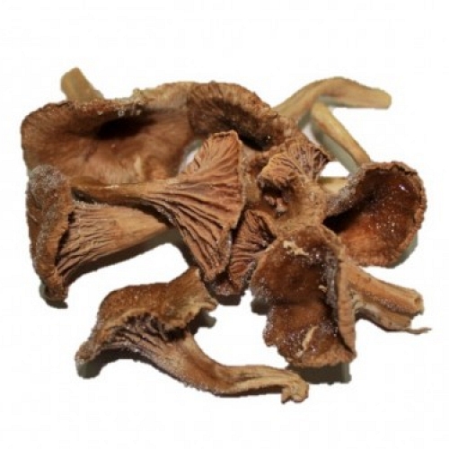 Quick-Frozen Funnel Chanterelle 