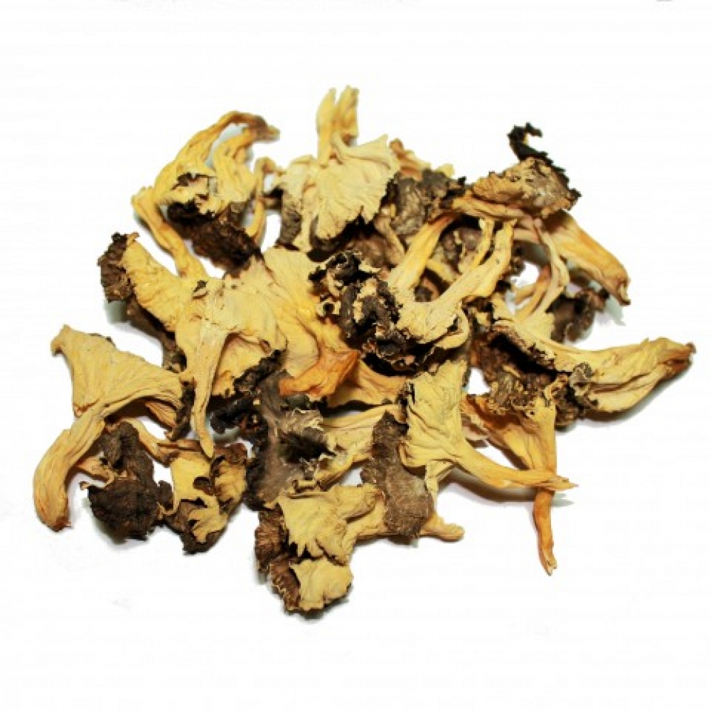 Dried Yellow Foot Mushroom Extra