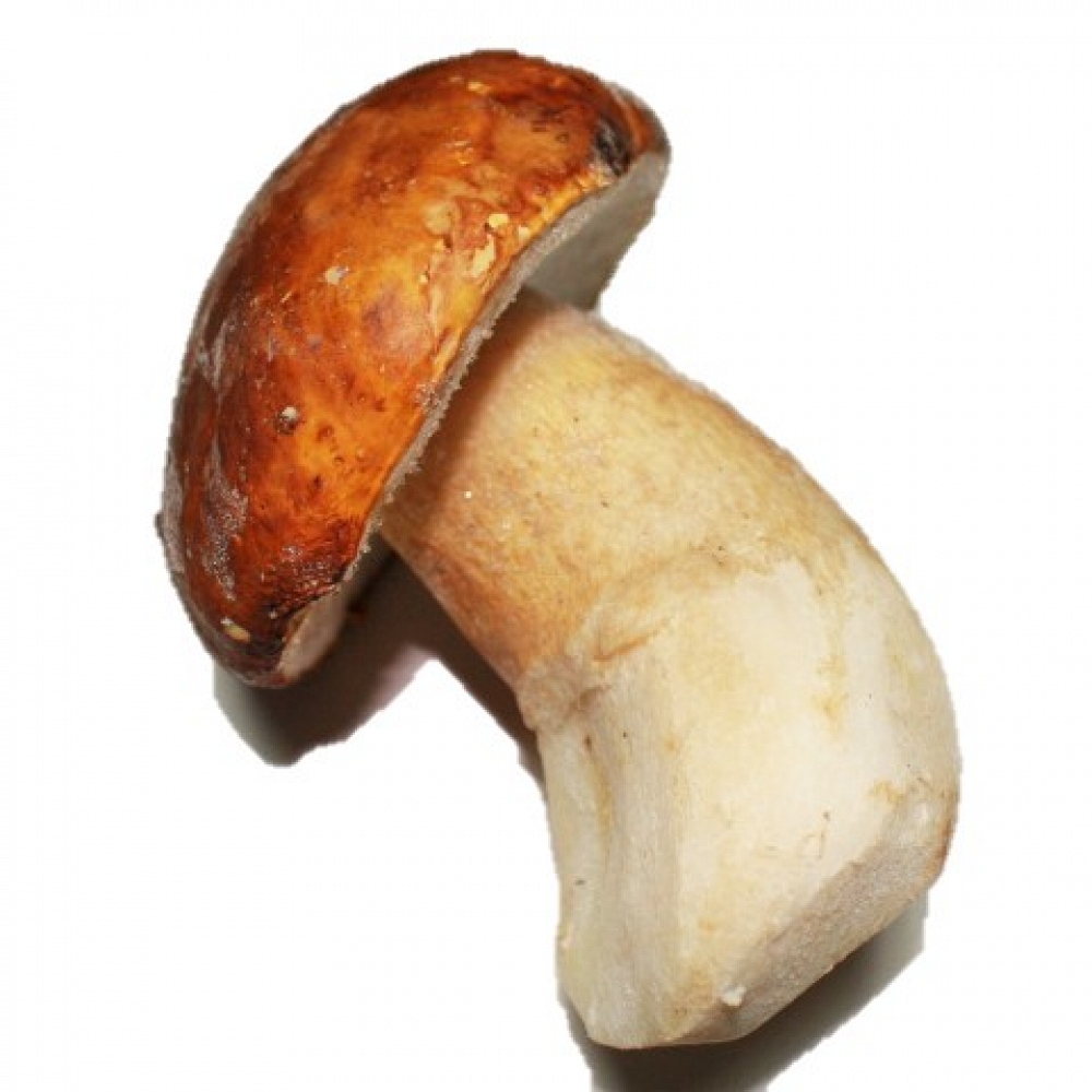 Quick-Frozen Boletus Pinophilus I Extra L 