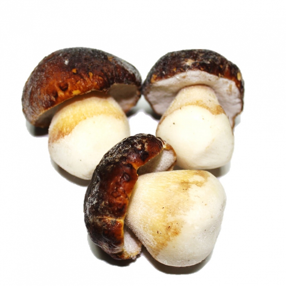 Quick-Frozen Boletus Pinophilus I Extra M 