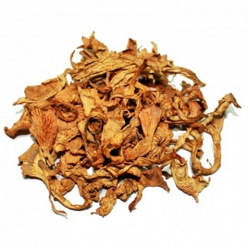 Dried Chanterelle