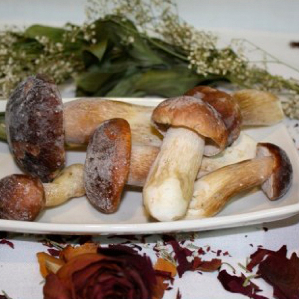 Boletus I� Ultracongelado (Boletus Congelado)