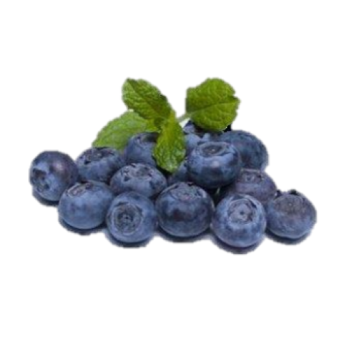 Fresh Blueberry