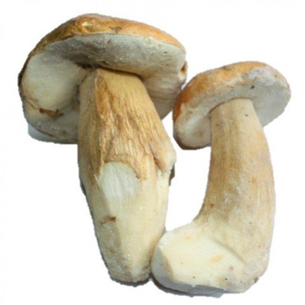 Quick-Frozen Boletus Edulis I� Extra L