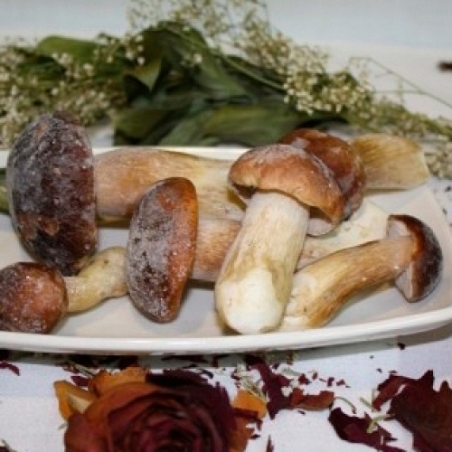 Boletus I� Ultracongelado (Boletus Congelado)