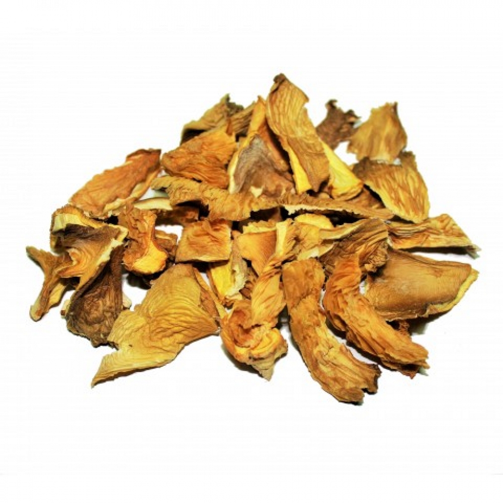 Dried Oyster Mushroom