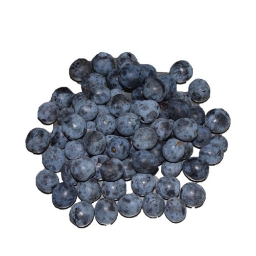 Quick-Frozen Blackthorn 