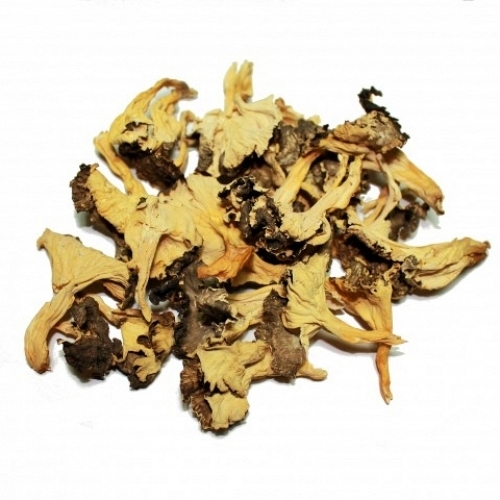 Dried Yellow Foot Mushroom Extra